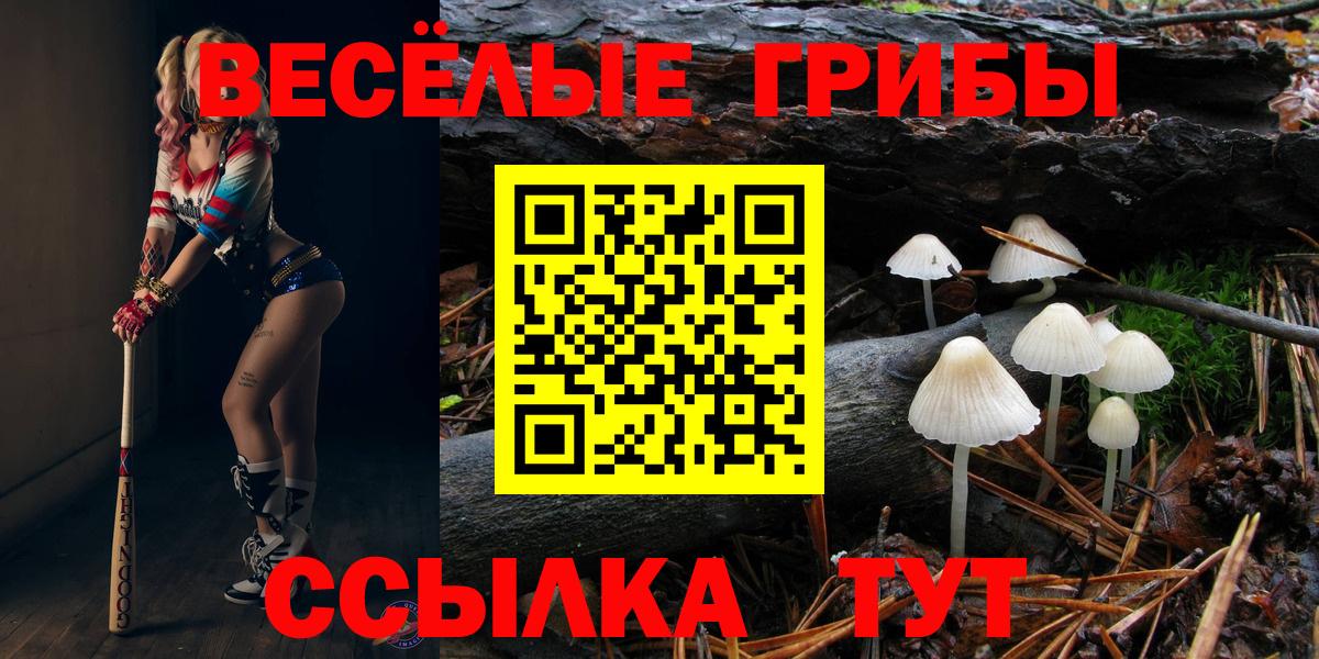 Галлюциногенные грибы Psilocybine cubensis  Вход с VPN  Лянтор 